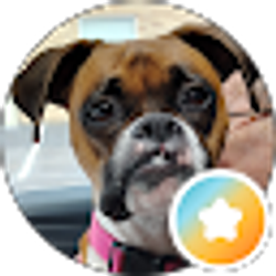 Profile photo of Joanie