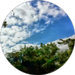 Profile photo of Adrainne Key
