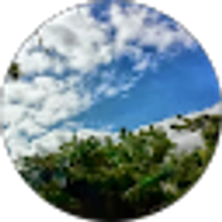 Profile photo of Adrainne Key