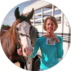 Profile photo of Barb Schroeder