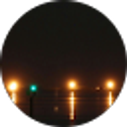 Profile photo of YLC Jiu