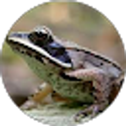 Profile photo of K Bren