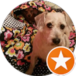 Profile photo of Joselyn Otero