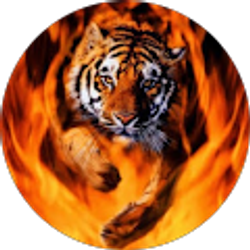 Profile photo of Lisa Stoen