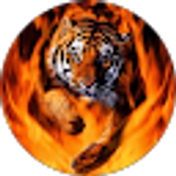 Profile photo of Lisa Stoen