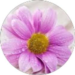 Profile photo of Karmen Macchiagodena