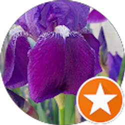 Profile photo of Sandy