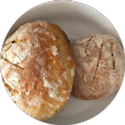 Profile photo of Pumpkin Pie