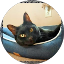 Profile photo of Lisa Baxter