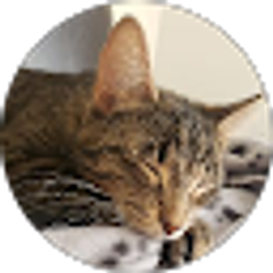 Profile photo of Kendal
