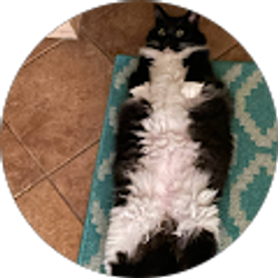 Profile photo of Cindy Shuffield