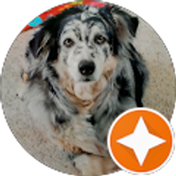 Profile photo of Kelly Lundquist