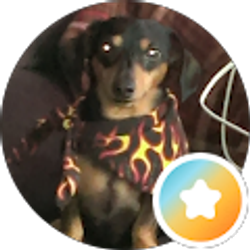 Profile photo of Cheryl Staller