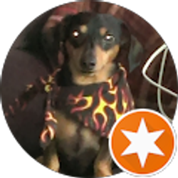 Profile photo of Cheryl Staller