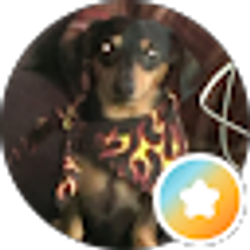 Profile photo of Cheryl Staller