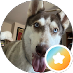 Profile photo of Retired and happy