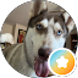 Profile photo of Retired and happy