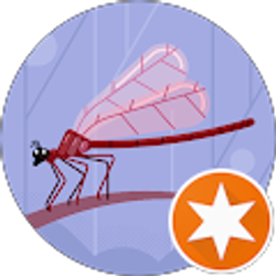 Profile photo of carla kaczynski