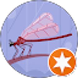 Profile photo of carla kaczynski