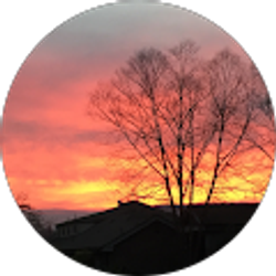 Profile photo of Sandra Westney