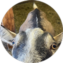 Profile photo of Haley Randall