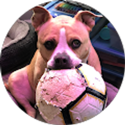 Profile photo of Kati Daniels