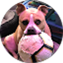 Profile photo of Kati Daniels