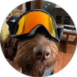 Profile photo of Joe Estrada