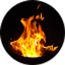 Profile photo of Kelly Broyles