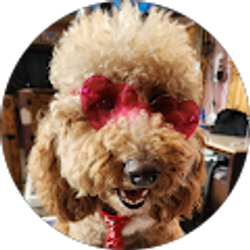 Profile photo of RJ Goggin