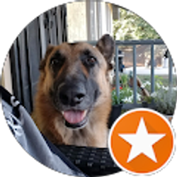 Profile photo of Flores Joshua