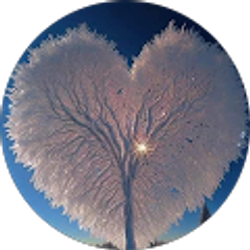 Profile photo of Aisha Henry