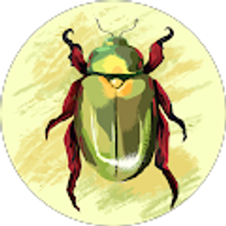 Profile photo of Gordon Family