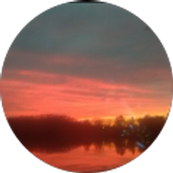 Profile photo of The Esteps