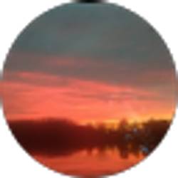 Profile photo of The Esteps