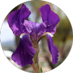 Profile photo of Catherine Stacy