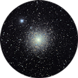 Profile photo of Nick Andrews