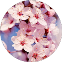 Profile photo of Taylor Kellington