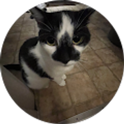 Profile photo of dani