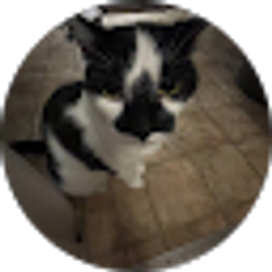 Profile photo of dani