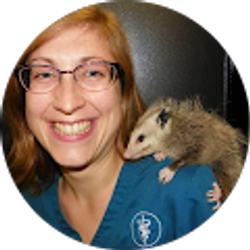 Profile photo of Meghan Roblee