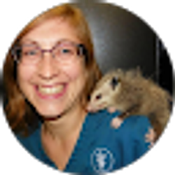 Profile photo of Meghan Roblee