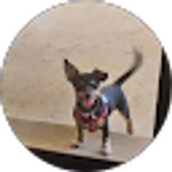 Profile photo of Cleeta Chambers