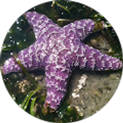 Profile photo of Mari D.