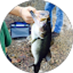 Profile photo of Damien Fargo