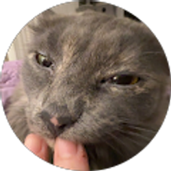 Profile photo of Phoenix Wymer