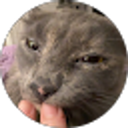 Profile photo of Phoenix Wymer