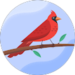 Profile photo of Bizuayehu Asegidew