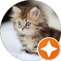 Profile photo of Blanca Sanchez