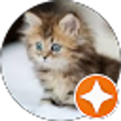 Profile photo of Blanca Sanchez